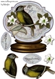 Male card Globe Vintage Birds 3