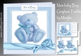 New baby Boy Gingham teddie Mini Kit