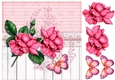 Pink Roses