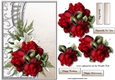 Beautiful Shaped Border & Red Roses