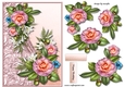 Beautiful Shaped Border & Camelias