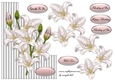 Shaped card White Lilies