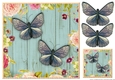 Vintage Butterflies Quick card 2