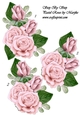 Step By Step Pastel Roses