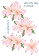 Step By Step Pink Lilies