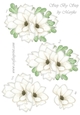 Step By StepBeautiful Flowers