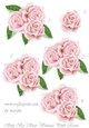 Step By Step Vintage Pink Roses