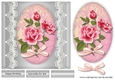 Pink Roses & lace