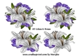 3D Roses & Lilies