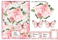 Roses Beauty 2