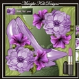 Fabulous Shoes Mini Kit