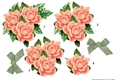 Peach Roses Step By Step