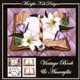 Vintage Book & Amaryllis Mini Kit
