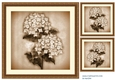 Vintage Hydrangea Beauty in antique frame card toppers 4 in sepia color