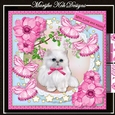 Cute White Kitten