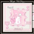 Baby Girl Mini Kit