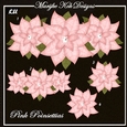 CU Pink Poinsettias
