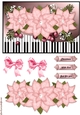 Music Pink Poinsettia