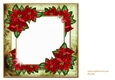 Red Poinsettias quick card INSERT