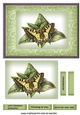 Sympathy Butterflies & Flowers 2