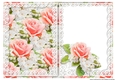 Beautiful Roses & Lace A5 Card INSERT