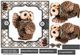 7x7 Quick Card  Wise Owl