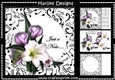 Just a Note Amaryllis Mini Kit
