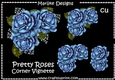 CU DR Pretty Roses