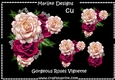 Gorgeous Roses CU DR
