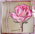 The Rose Mini Kit