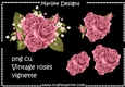 CU DR Vintage Roses