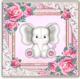 Welcome baby Girl Mini kit
