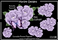CU DR Lavender Peonies Vignette PNG Clipart & Butterfly