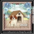 Cute KIng Charles Spaniel Puppy Birthday Card