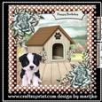 Cute Border Collie Puppy Birthday Card