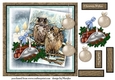 Male card Christmas  Owls