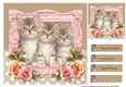 Cute Kittens Birthday Card Topper 3