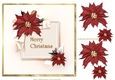  Christmas  Poinsettias Quick card
