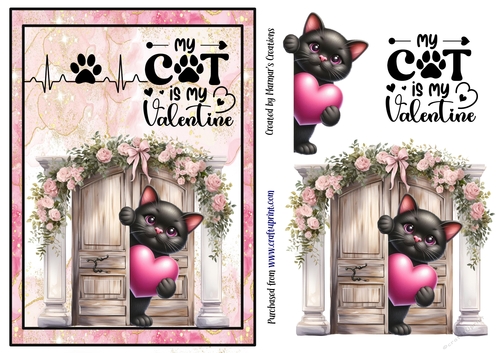 My Cat is my Valentine. 