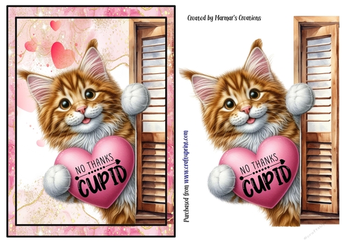 My Cat is my Valentine. 