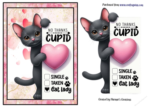 My Cat is my Valentine. 
