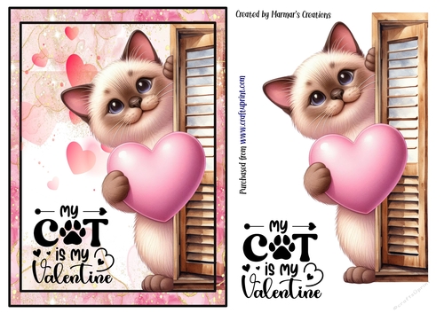 My Cat is my Valentine. 