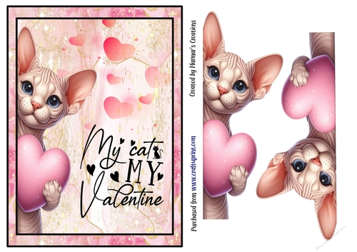 My Cat is my Valentine. 