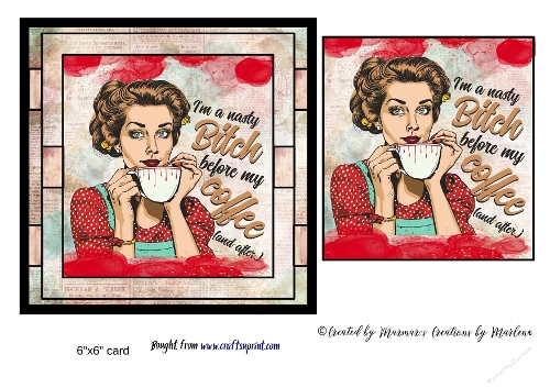 Retro Funny Sarcastic Sassy Girl card