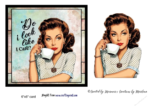 Retro Funny Sarcastic Sassy Girl card