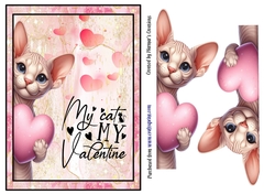 My Cat is my Valentine.