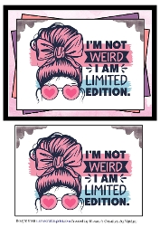 Messy Bun Collection