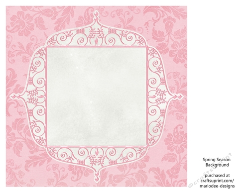 Pretty Pink Floral 8x8 Background with White Topper