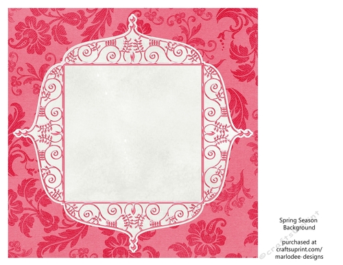 Pretty Dark Pink Floral 8x8 Background with White Topper