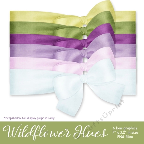 Wildflower Hues - Bow Graphics